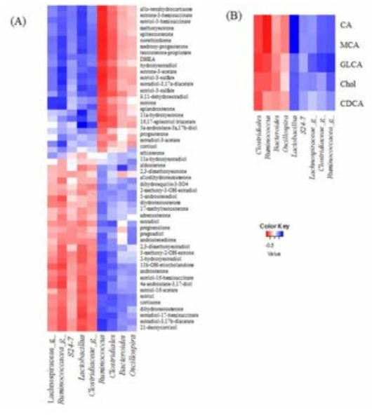 Correlation between gut microbiota and steroid hormones (A) and bile acids (B) from HFD-induced mild obese rats with/without Kimchi intake.