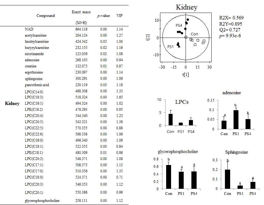 Metabolomic analysis of kidney from rats with different salt intake.
