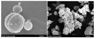 Na0.7Mn0.75Fe0.25O2 SEM 이미지 좌)열처리 전, 우)열처리 후