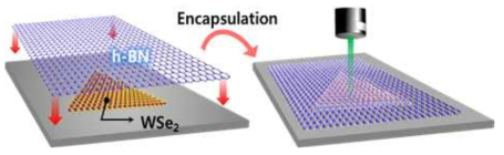 h-BN으로 보호된 WSe2의 encapsulation 기술