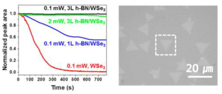 h-BN으로 보호된 WSe2의 PL intensity 변화 및 표면 안정성 결과