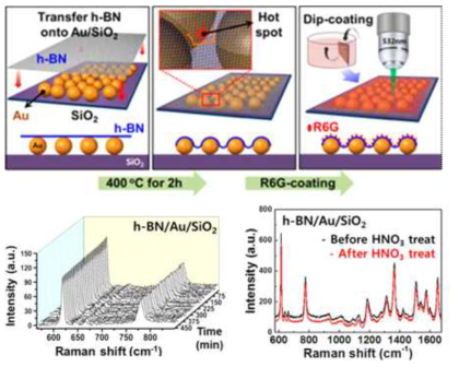 h-BN으로 보호된 Au 기판의 열적 및 화학적 안정성 연구