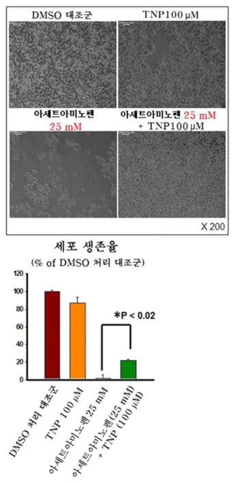 TNP에 의한 APAP-induced hepatotoxicity 억제반응 (인간 간암 HepG2세포)