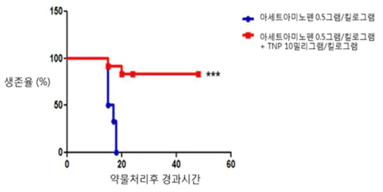 생쥐모델에서의 TNP 처리에 따른 APAP 간독성 보호효능분석 (개체생존율)