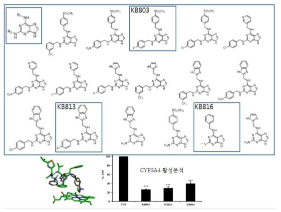 TNP 유도체 합성 및 CYP3A4 효소억제기능 검증
