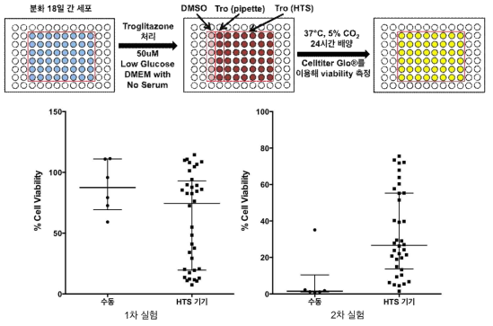 50 uM Troglitazone에 대한 간세포의 반응에 대한 실험 모식도(위)와 해당 방법으로 진행한 1차 실험(왼쪽 아래), 2차 실험(오른쪽 아래)에서의 간세포 생존율
