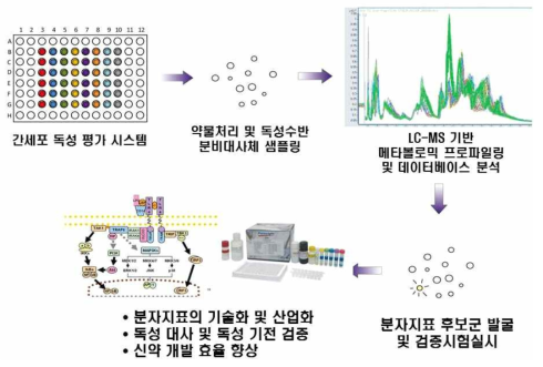 줄기세포 기반 독성 시스템을 활용한 분자지표 발굴 모식도