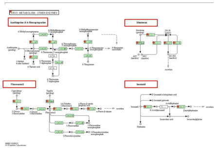 인간 간세포와 전분화능 배아줄기세포 유래 간세포 간에 발현변화를 보인 유전자들중 drug metabolism에 관여하는 유전자 분석 2