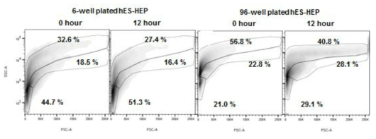 6웰 및 HTS 간세포에서의 FACS 비교분석