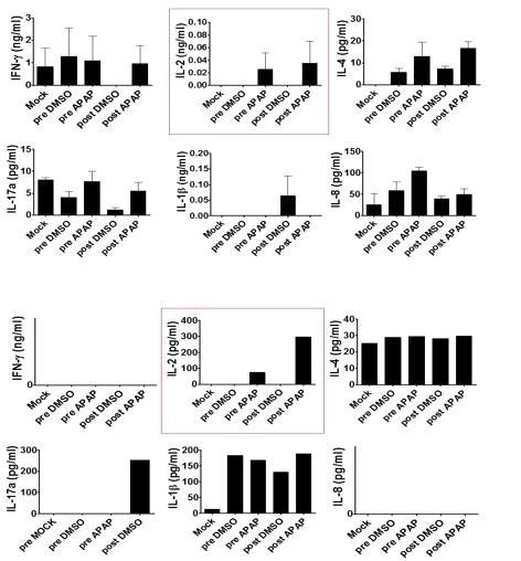 Primary hepatocyte 면역독성물질 분석