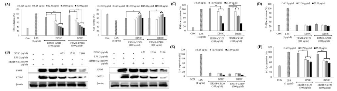 미세먼지(ERM®-CZ100와 ERM®-CZ120)로 자극한 대식세포의 활성화에 대한 DPHC의 효능