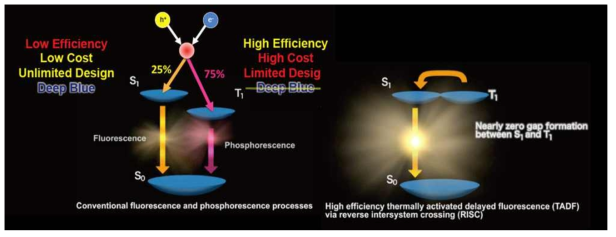 기존 fluorescence 와 phosphorescence process (좌) reverse intersystem crossing (RISC) 를 통한 TADF process (우) 의 모식도