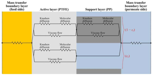 Schematic diagram of mass transfer through the composite membrane