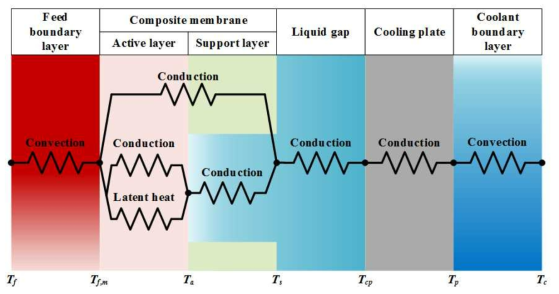 Schematic of heat transfer through the composite membrane in LGMD