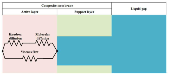 Schematic of mass transfer through the composite membrane in LGMD