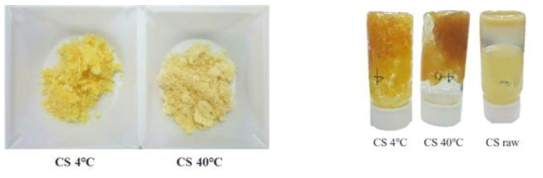 Modified chitosan 사진 (a) 및 oleogelator로서의 기능성(b)