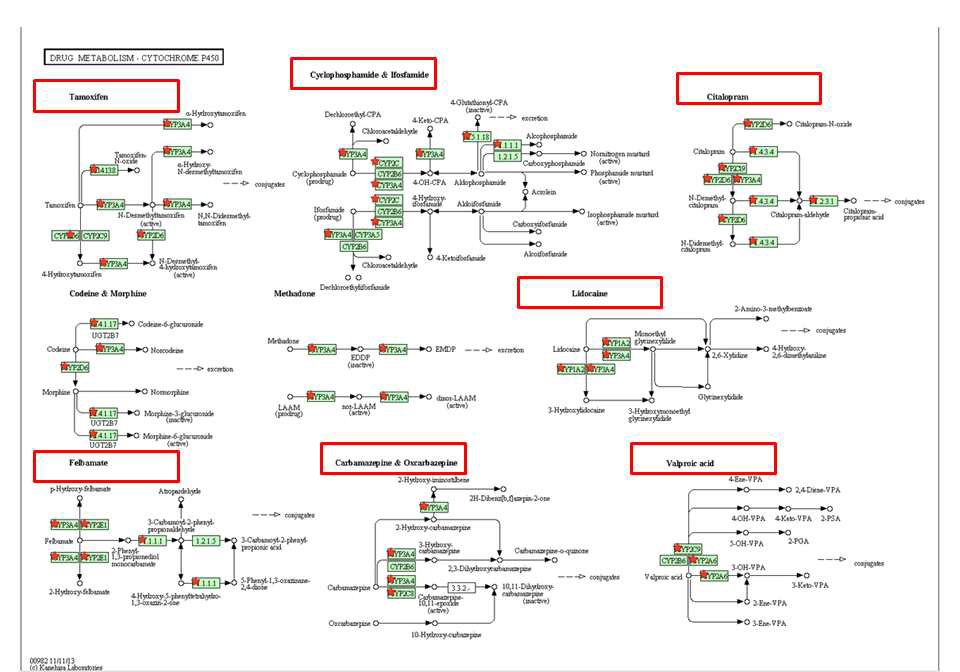 인간 간세포와 전분화능 배아줄기세포 유래 간세포 간에 발현변화를 보인 유전자들중 drug metabolism에 관여하는 유전자 분석 1