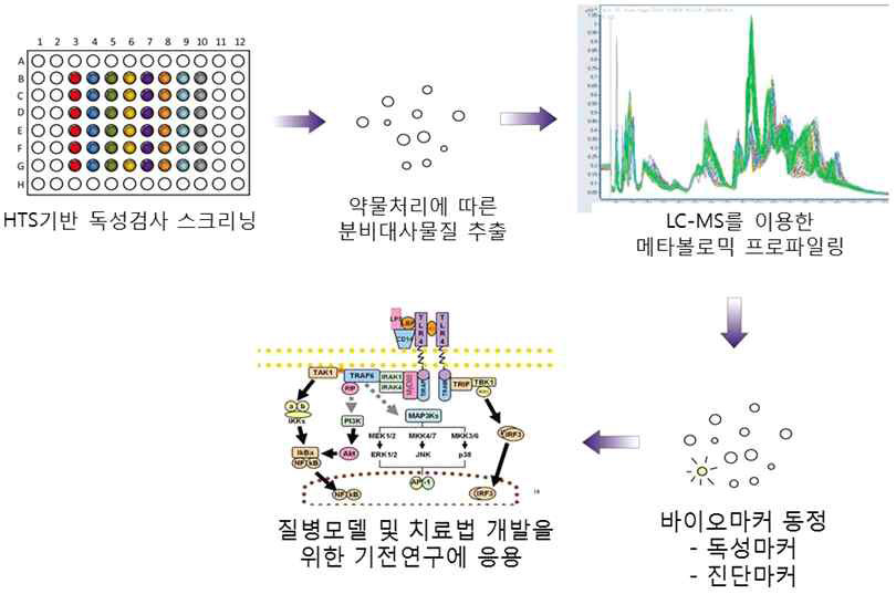 줄기세포 기반 메타볼릭 프로파일링을 통한 독성 바이오 마커 발굴