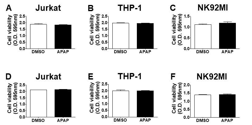 줄기세포 유래 간세포(위) 및 primary hepatocyte(아래)를 APAP를 처리한 conditioned media로 처리했을 때 cell viability의 차이가 없음