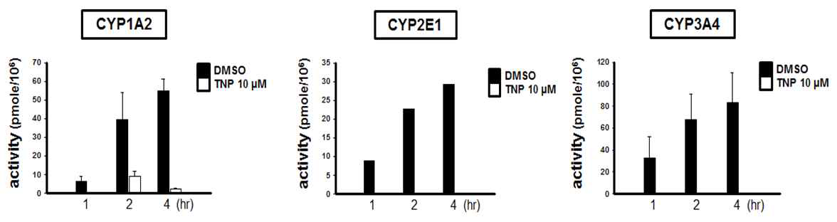 TNP에 의한 CYP 대사억제능력 검증 (인간 줄기세포 유래 간세포)
