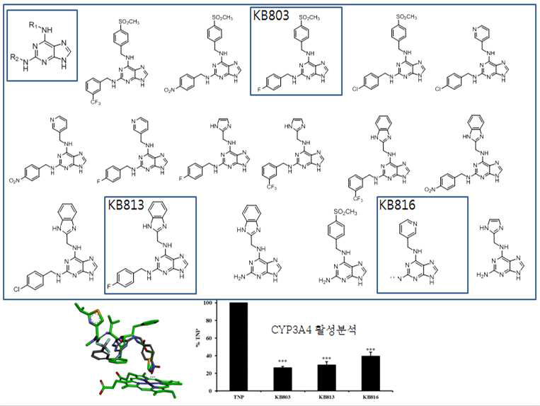 TNP 유도체 합성 및 CYP3A4 효소억제기능 검증