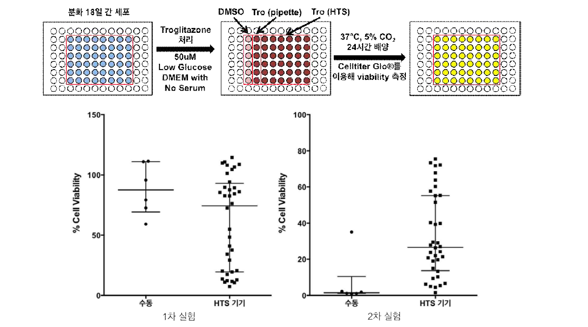50 uM Troglitazone에 대한 간세포의 반응에 대한 실험 모식도(위)와 해당 방법으로 진행한 1차 실험(왼쪽 아래), 2차 실험(오른쪽 아래)에서의 간세포 생존율