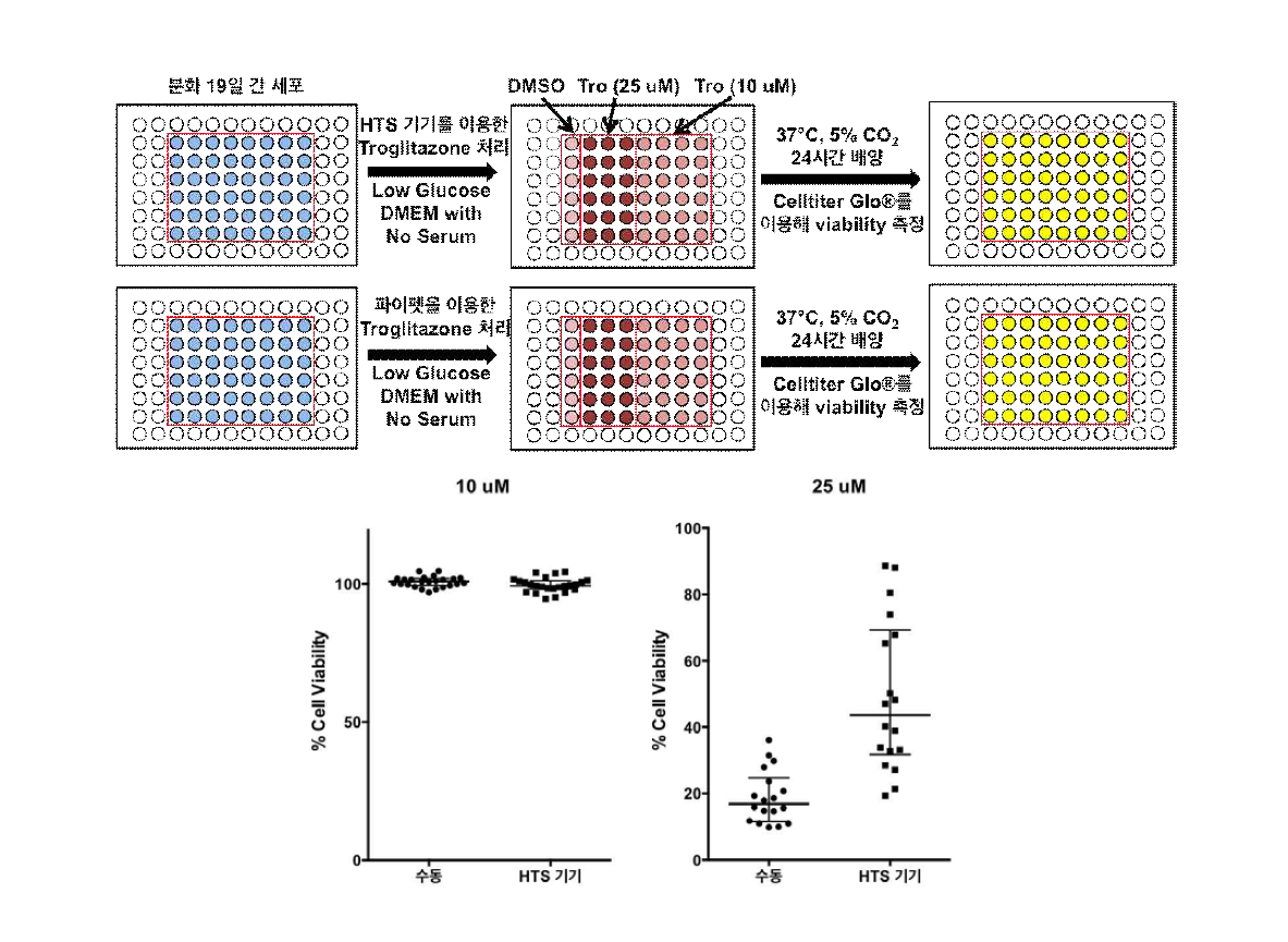 두 plate의 간세포를 이용해 진행한 간세포의 Troglitazone 농도에 대한 반응 실험 모식도(위)와 해당 방법으로 10 uM(왼쪽 아래), 25 uM(오른쪽 아래)의 약물을 각각 처리한 후의 간세포 생존율