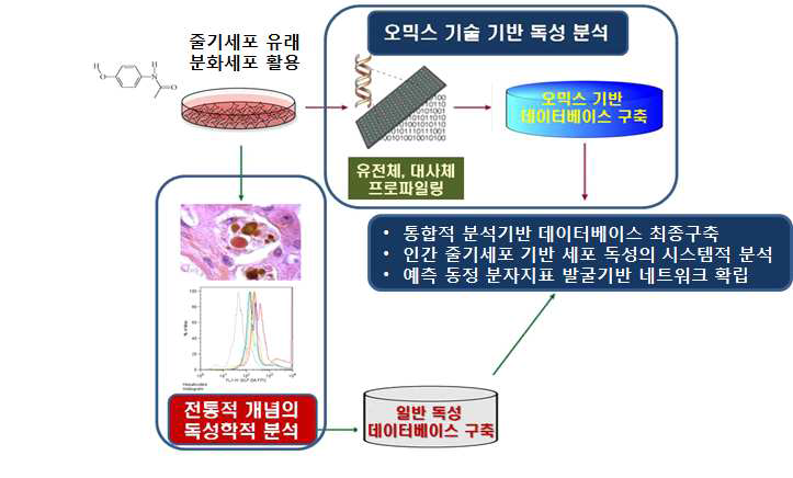 체계적 독성 평가 시스템의 구축 모식도