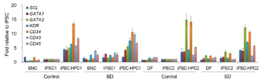 HPC 특이적인 표지 단백질 발현 확인 (Real-Time PCR)