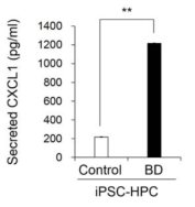 베체트 유래 HPC의 배양 상등액의 CXCL1의 분비량 비교 (ELISA)