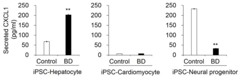 조혈 전구체 세포가 아닌 다른 세포 타입의 배양 상등액에서의 CXCL1 분비량 비교 (ELISA)