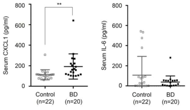 베체트 질환 환자 혈청에서의 CXCL1 및 IL-6 함유량 비교 (ELISA)