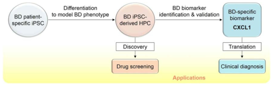 베체트 질환 환자-특이적 치료 및 바이오마커 입증에 역분화 줄기세포 기술의 약물 스크리닝의 적용성