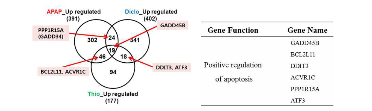 독성예측 분자지표로 pro-apoptotic 유전자 선별