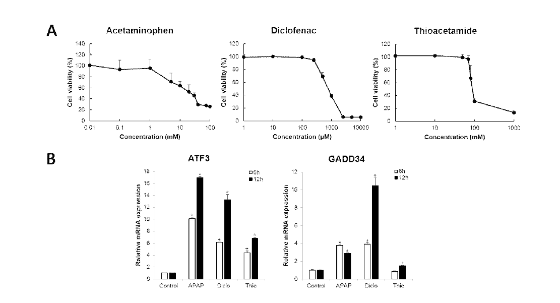 HepG2 세포주에 3종 간독성 약물 처리하여 IC50 농도 측정 및 타겟 유전자 ATF3, GADD34의 mRNA level 수준 확인