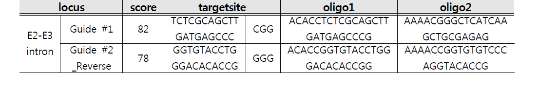 타겟 유전자 ATF3의 sgRNA oligo sequence