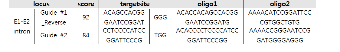 타겟 유전자 GADD34의 sgRNA oligo sequence