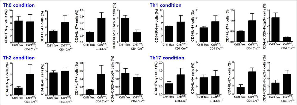 Crif1fl/fl; CD4-Cre+/-와 Crif1 flox 마우스에서 CD4+ 세포의 분화 변화 조사