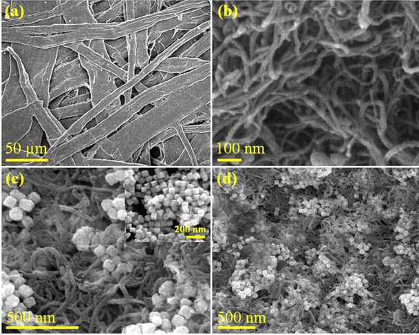 SEM images of the individual and composites materials