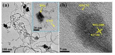 (a) TEM and (b) HRTEM images of the S2 hybrid. Inset of (a) shows the interface between WO3 NP and MWCNT at high magnification.