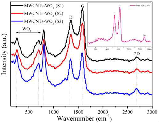 Raman spectra of S1, S2, and S3 hybrids. Inset shows the Raman spectra of pure MWCNTs.