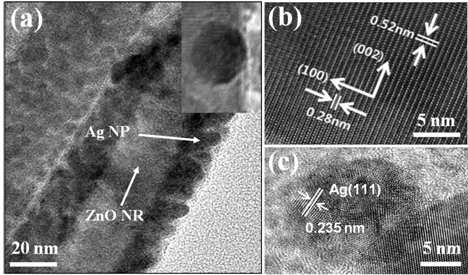(a) TEM and (b-c) HRTEM images of the 8 s Ag-loaded ZnO NRs.