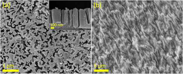 In-plane FESEM micrographs of (a) p-Si wafer mold after 15 min etching process and (b) as-prepared w-PDMS. Inset of (a) shows the cross-section image of the p-Si wafer mold.