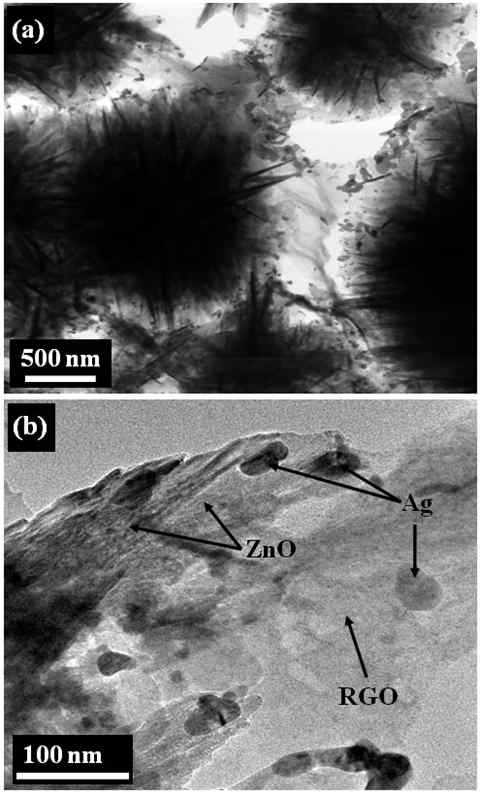 Typical (a) low- and (b) high-magnification TEM images of the Ag/ZnO Hrc-RGO hybrid.