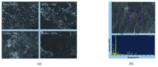 (a) SEM images of the pure Pd-Gr nanocomposite and Ni/Pd-Gr nanocomposite with various Ni/Pd percentages, and (b) EDS analysis of the Ni/Pd ~21% sample.
