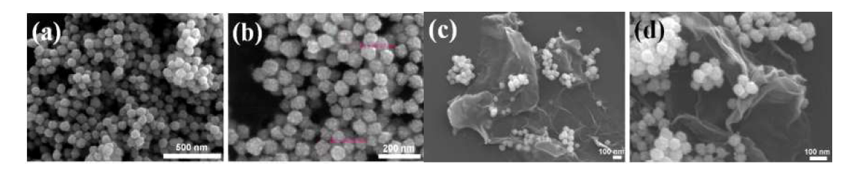 SEM images of pure nanoporous Pd and the nanoporous Pd-Gr hybrid (a, c) at low magnification and (b, d) high magnification.