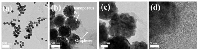 TEM images of the nanoporous Pd-Gr hybrid at various magnifications.