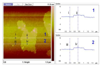 AFM images taken in conducting mode and line profile of GO nanosheets.