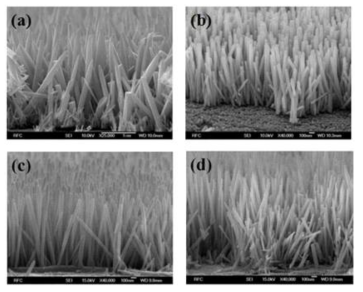 SEM images of Pd-loaded ZnO NRs on various Ga-modified ZnO seed layer on PI/PET (after transfer from Si substrate): (a) ZnO:0, (b) ZnO:1, (c) ZnO:3 and (d) ZnO:5