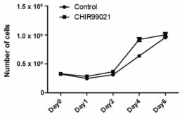 생식줄기세포를 동일한 밀도로 도말하고 GSK-3β inhibitor인 CHIR99021을 처 리 후 세포 수 측정 결과